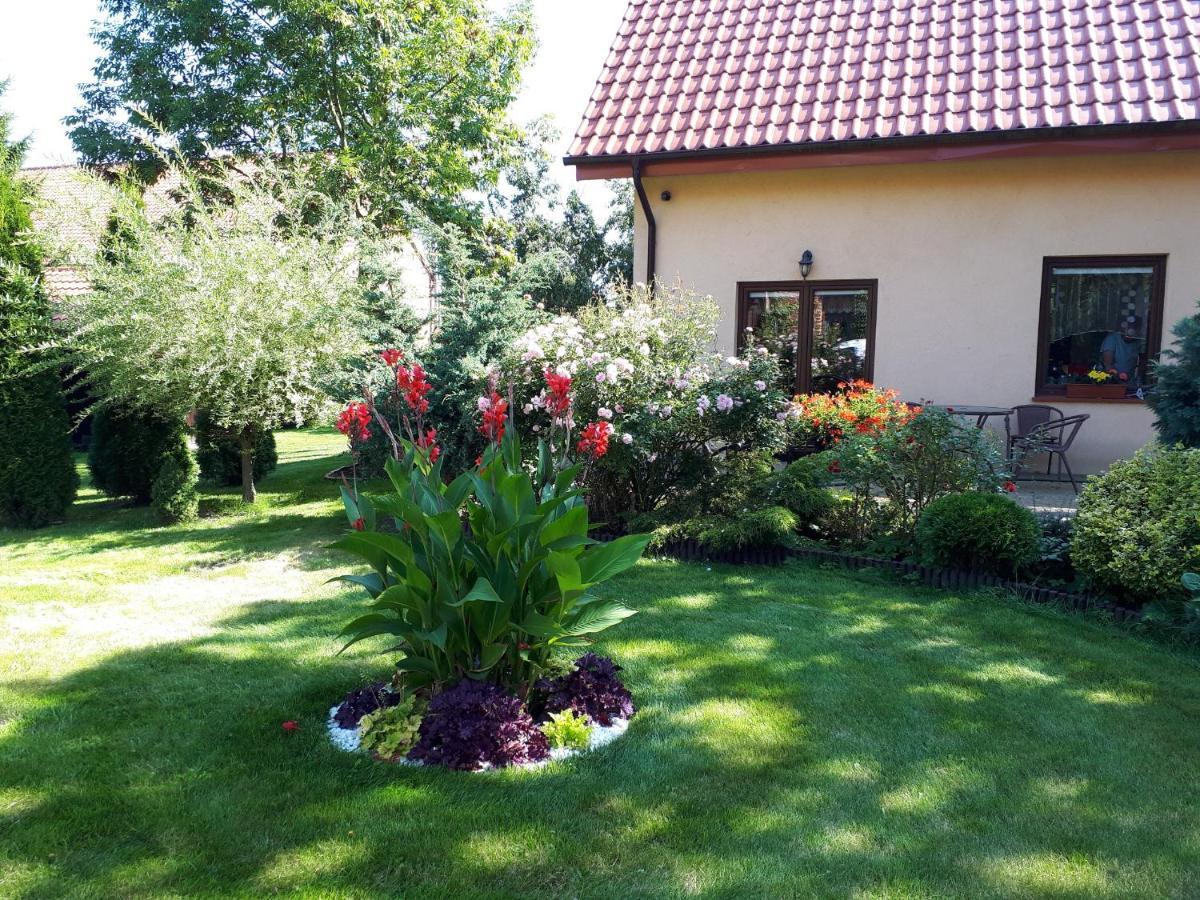 Agroturystyka Druzno Elblag Exteriör bild