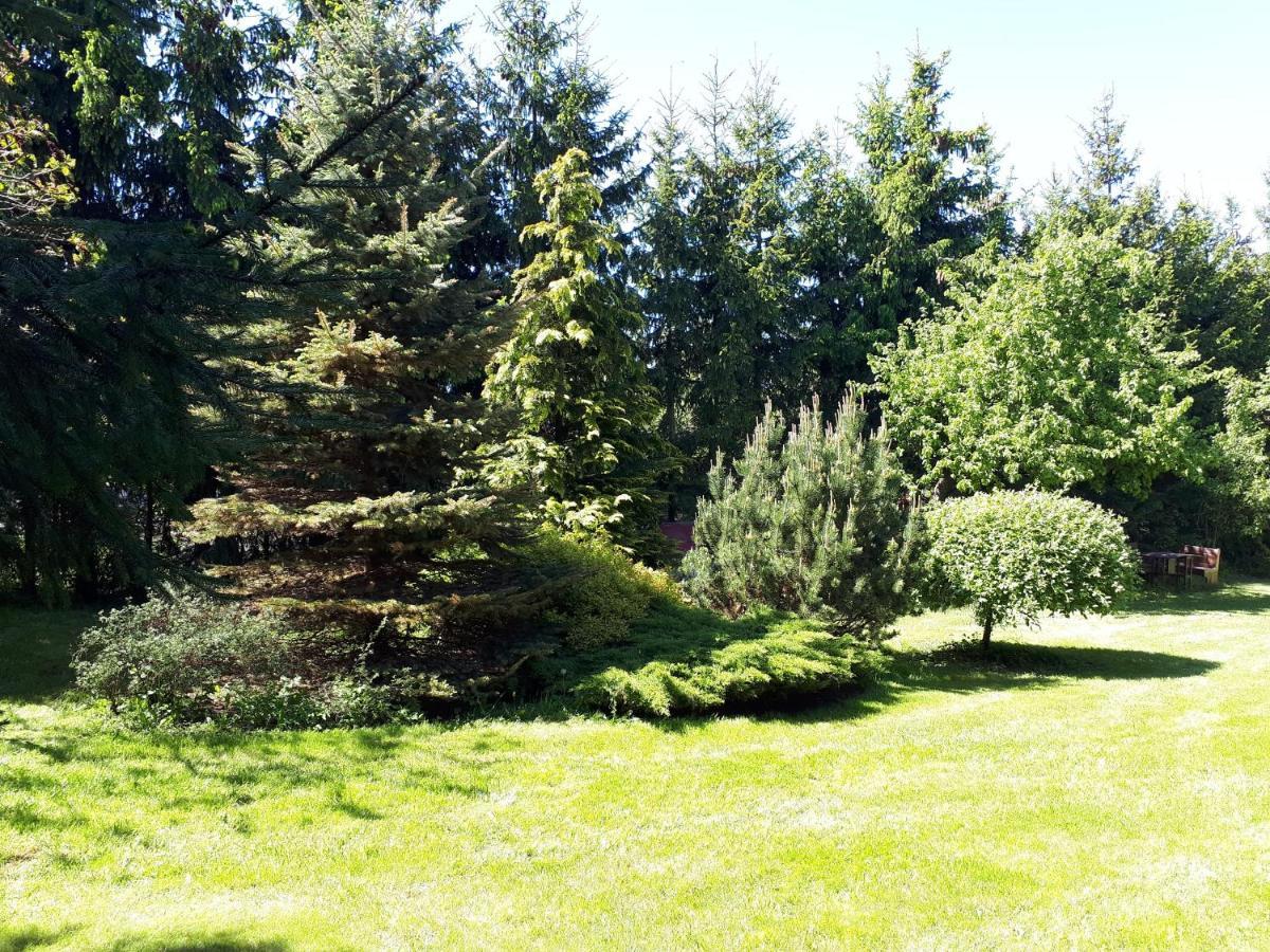 Agroturystyka Druzno Elblag Exteriör bild